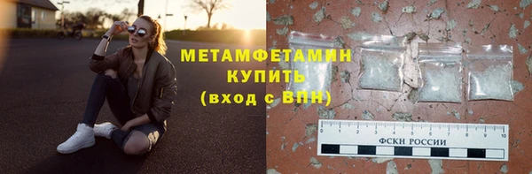 шишки Сатка