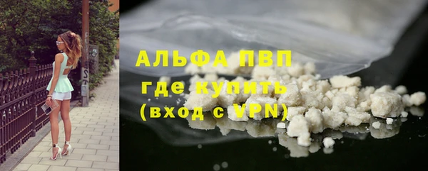 шишки Сатка