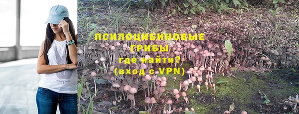 шишки Сатка