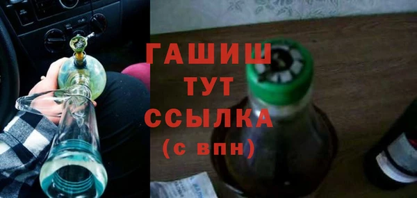 шишки Сатка