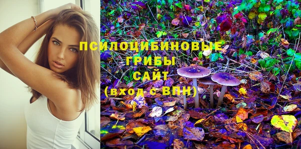 шишки Сатка
