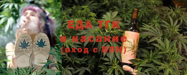 шишки Сатка