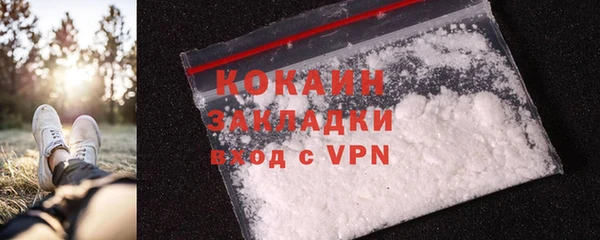 шишки Сатка