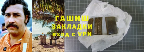 шишки Сатка