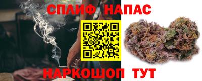 прущие грибы Изобильный